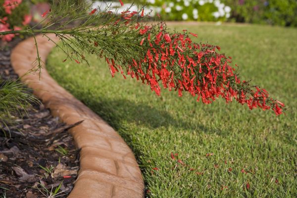 Brick Edging in Syracuse