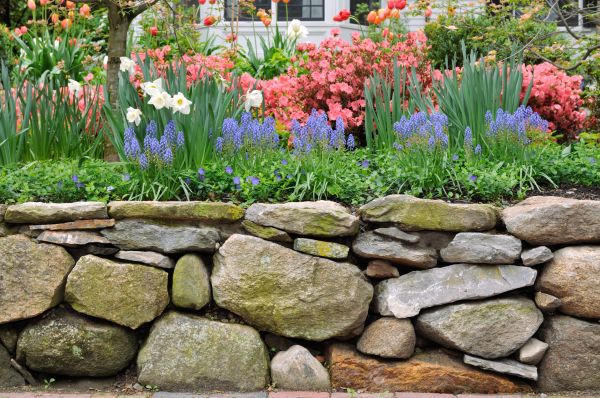 Stone Wall Hardscaping in Syracuse